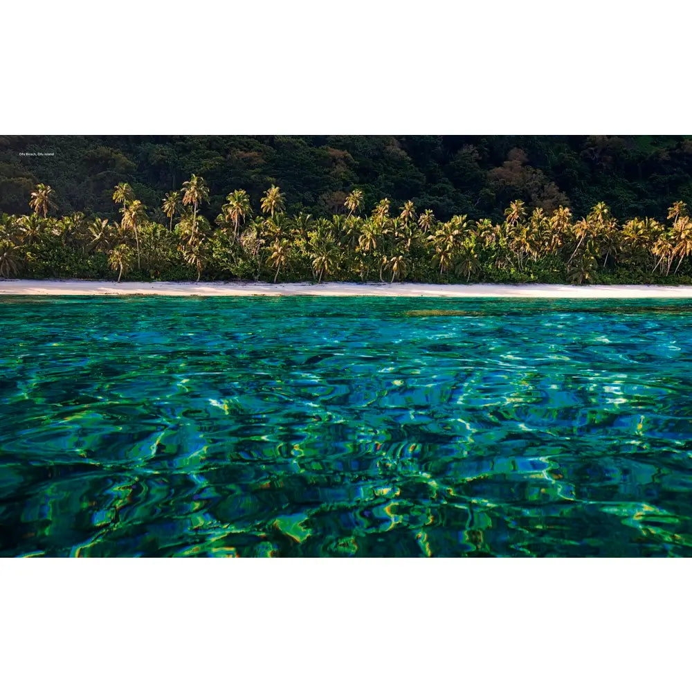 American National Parks: Pacific Islands, Western & Southern USA