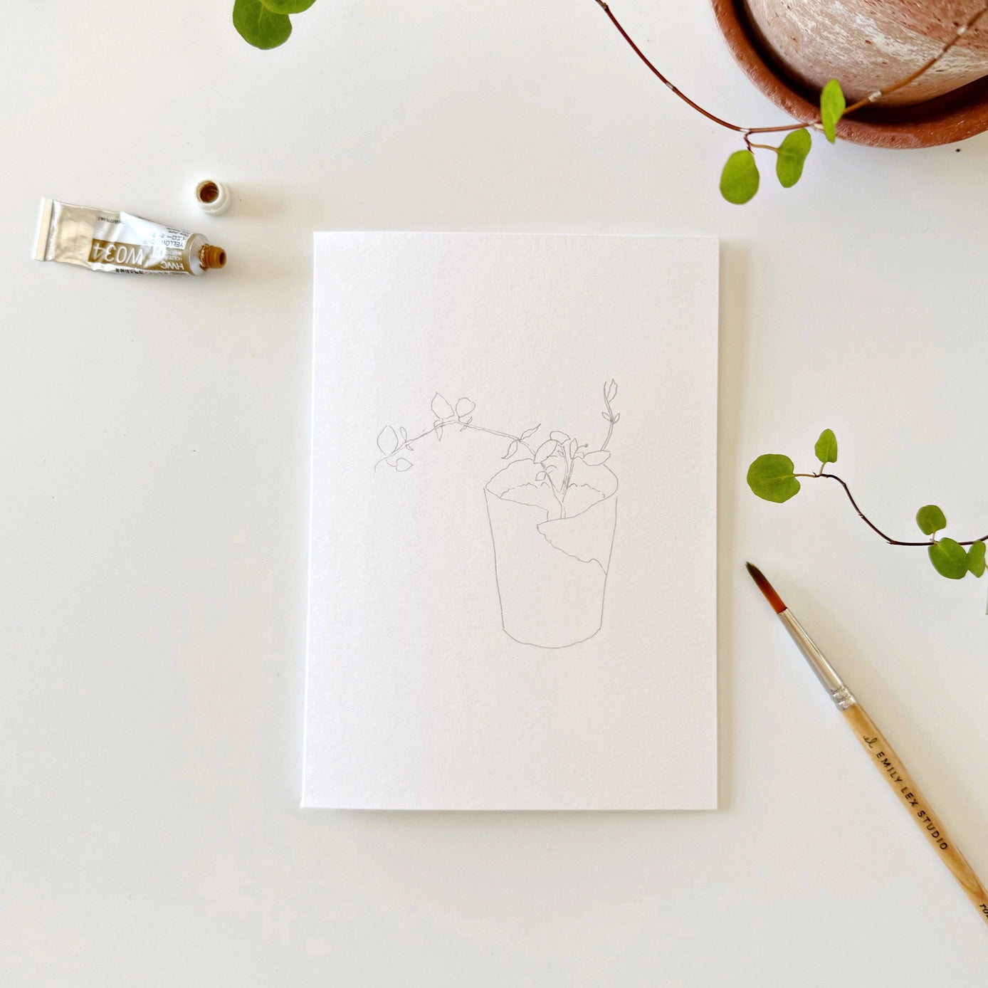 Potted Plants Paintable Notecards