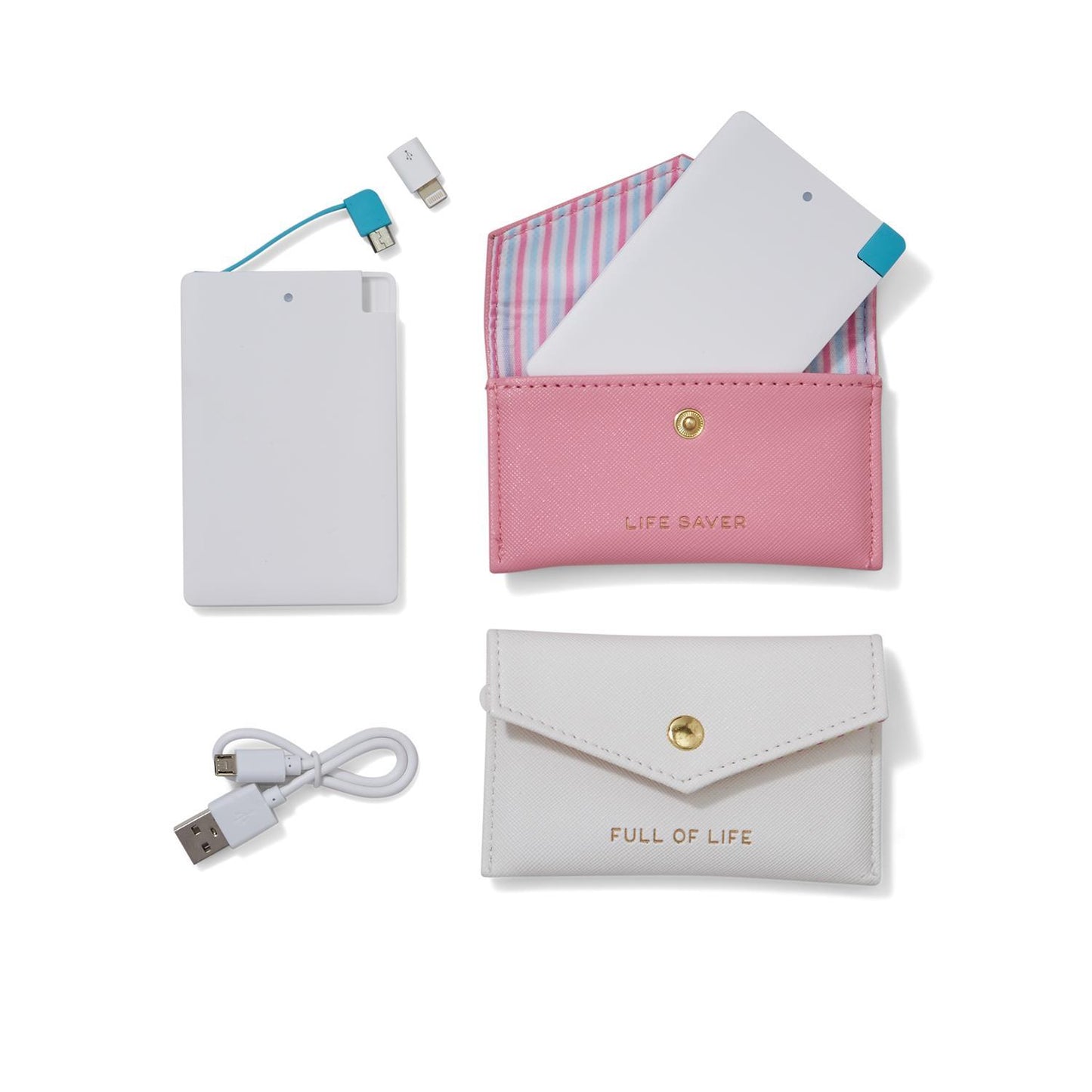 Power Bank in Storage Case