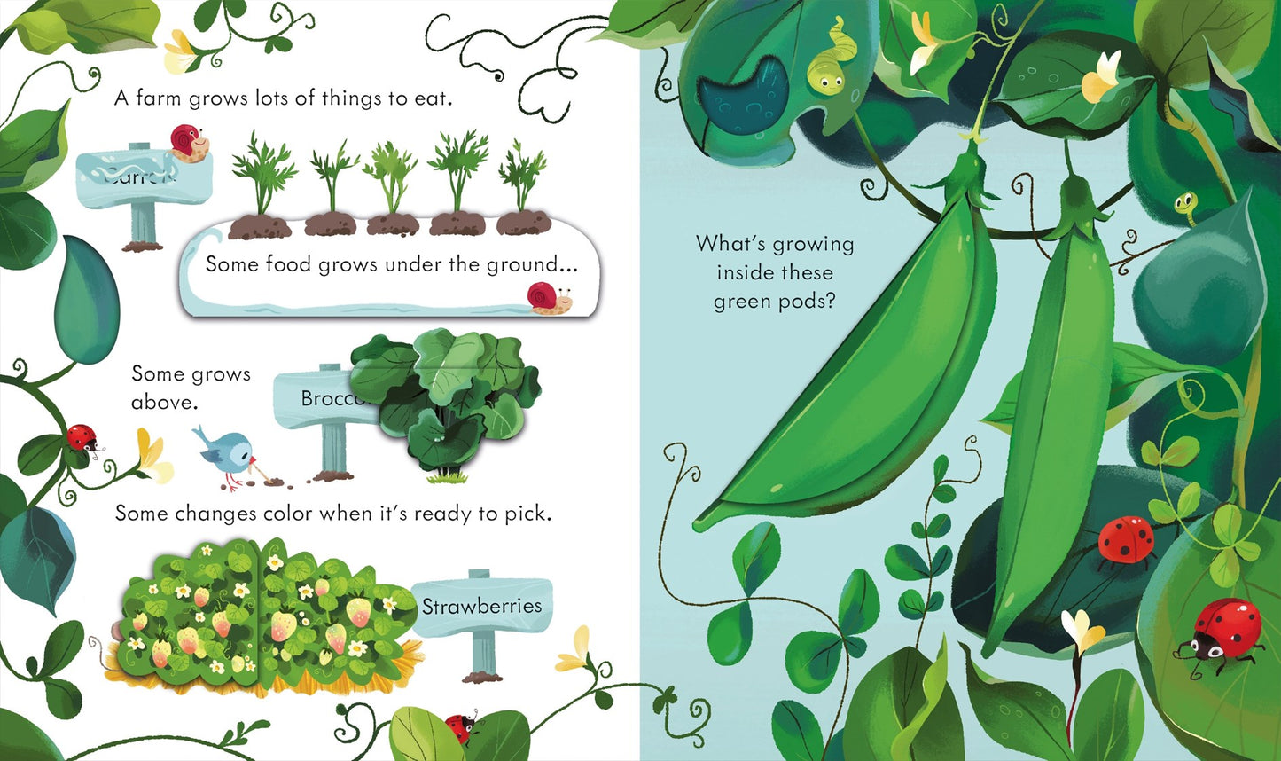 Peek Inside the Farm Board Book