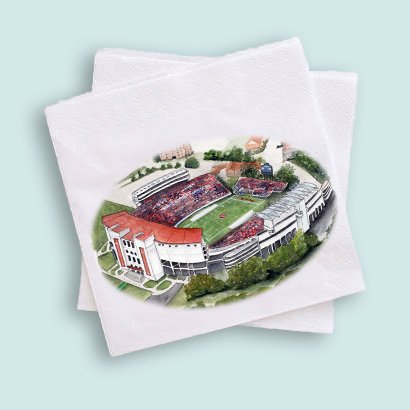 Football Stadium Cocktail Napkins