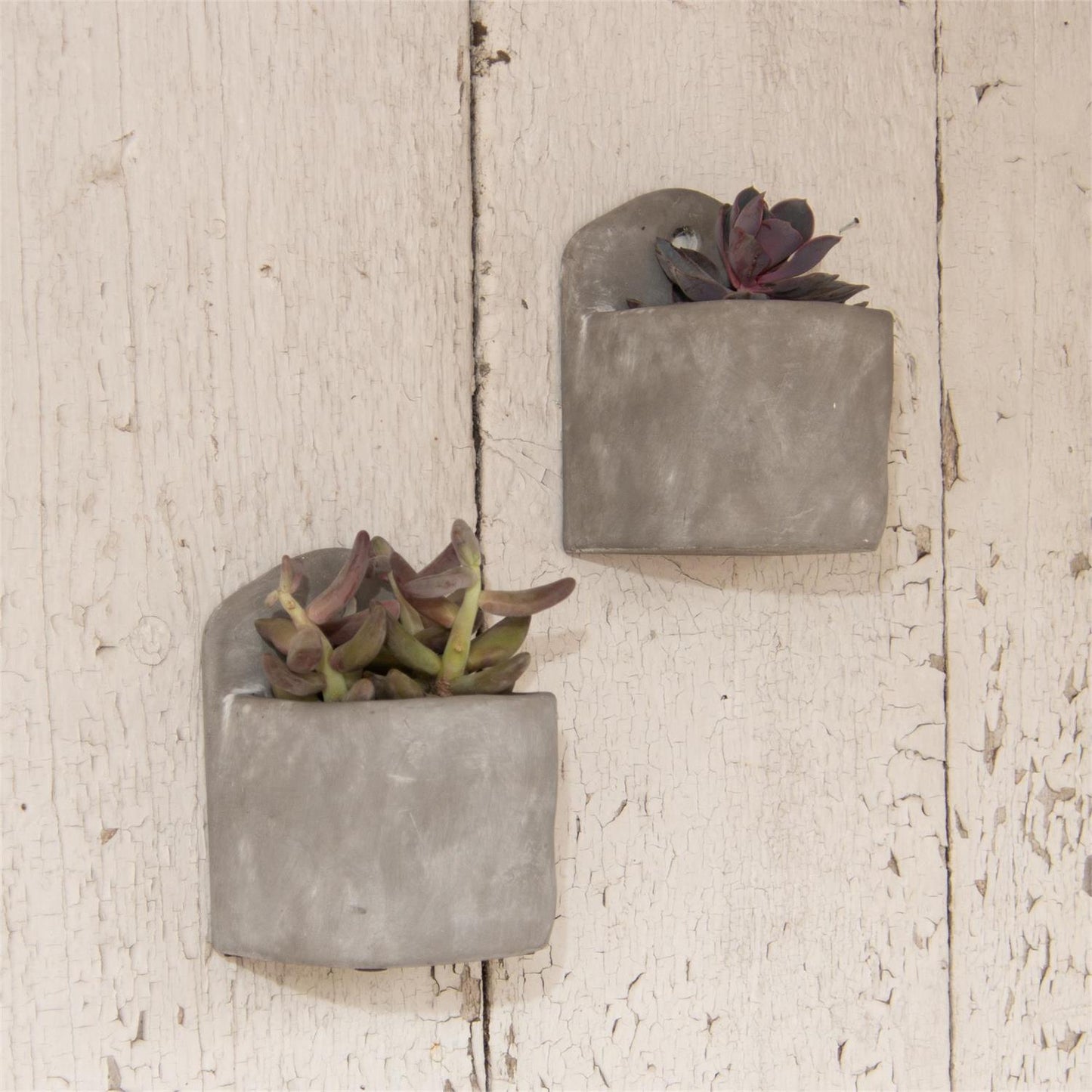 Hanging & Tabletop Cement Planter Set