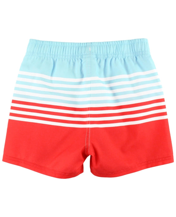 From Sea To Shining Sea Swim Trunks