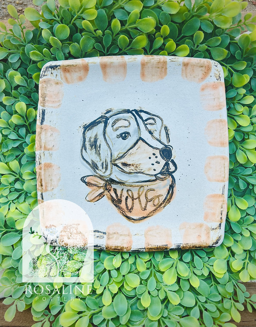 Rosaline Pottery Smokey Salad Plate